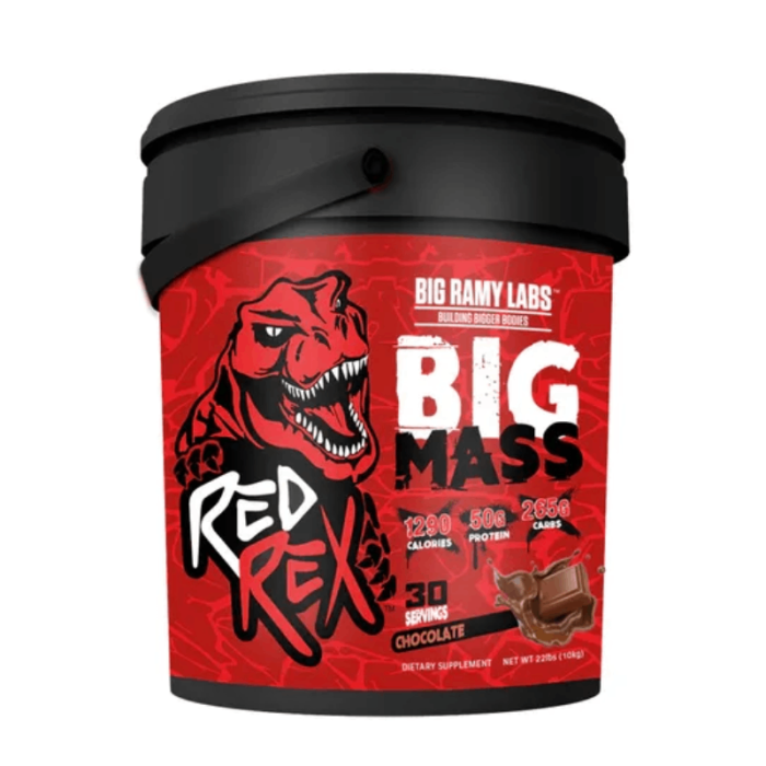 BIG RAMY LABS MASS 10 KG - Gym Supplements Warehouse
