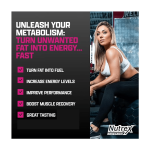 Nutrex Research L-Carnitine 3000 (31 Servings 3